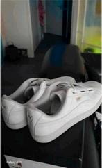 Puma's in het wit maat 40,5 of maat7, Ophalen of Verzenden, Zo goed als nieuw, Wit, Sneakers of Gympen
