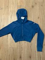 Alo Yoga jumper, Kleding | Dames, Sportkleding, Maat 38/40 (M), Blauw, Alo Yoga, Nieuw