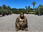 Brons -goud kleurig Gorilla beeld te koop