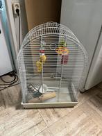 Vogelkooi, Ophalen of Verzenden, Metaal, Vogelkooi