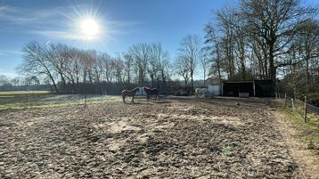 Pony Weidegang/ paddock (beperkt gras/hoefbevangen) beschikbaar voor biedingen