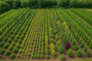 Bos- en Haagplantsoen beschikbaar voor biedingen