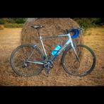 Canyon - Endurace CF 9 DI2 Ultegra (elektronisch carbon), Carbon, Zo goed als nieuw, Meer dan 20 versnellingen, 53 tot 57 cm