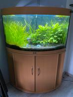 Juwel Hoek-Aquarium Trigon 190, Dieren en Toebehoren, Gebruikt, Ophalen of Verzenden, Leeg aquarium