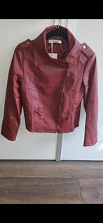 Nieuwe Riverdale PU Leren Jas - Maat L, Maat 38/40 (M), Nieuw, Ophalen of Verzenden, Jasje