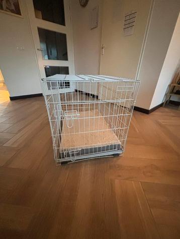 Hondenbench met kussen beschikbaar voor biedingen