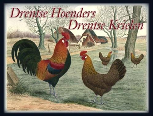 Drentse hoenclub boek, Dieren en Toebehoren, Pluimvee, Kip, Meerdere dieren