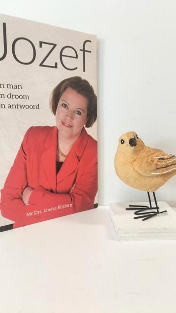 Blijdorp, Mr. Drs. Lineke; Jozef (een man, een droom, een an beschikbaar voor biedingen