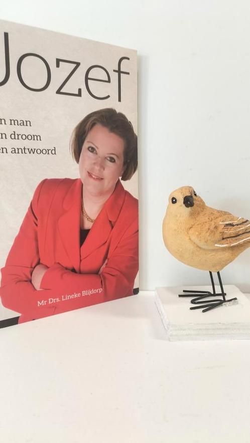 Blijdorp, Mr. Drs. Lineke; Jozef (een man, een droom, een an, Boeken, Godsdienst en Theologie, Gelezen, Christendom | Protestants
