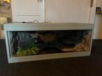 Terrarium 120x60x50 met fittingen en achtergrond, Dieren en Toebehoren, Reptielen en Amfibieën | Toebehoren, Ophalen, Gebruikt