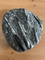 Orthoceras fossiel, Verzamelen, Mineralen en Fossielen, Ophalen, Fossiel