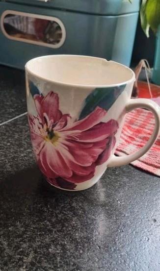 GEZOCHT: deze mokken van AH beschikbaar voor biedingen