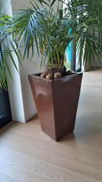 Keramische bloembak 58x32x32, Tuin en Terras, Vierkant, Zo goed als nieuw, Tuin, Aardewerk