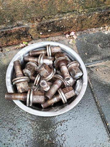 16 gegalvaniseerde bouten voor velgen  beschikbaar voor biedingen