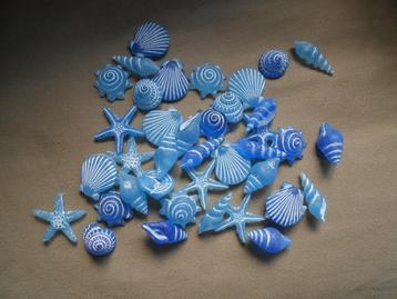 blauwe plastic decoratie schelpjes beschikbaar voor biedingen