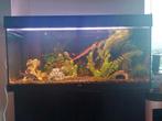 JUWEL aquarium 180 Liter., Ophalen, Zo goed als nieuw, Gevuld zoetwateraquarium