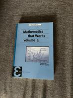 Mathematics that Works volume 3, Boeken, Studieboeken en Cursussen, Ophalen of Verzenden, WO, Zo goed als nieuw, Maarten de Gee