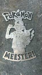 Pokemon, Hobby en Vrije tijd, Kaarten | Zelf maken, Ophalen of Verzenden, Gebruikt