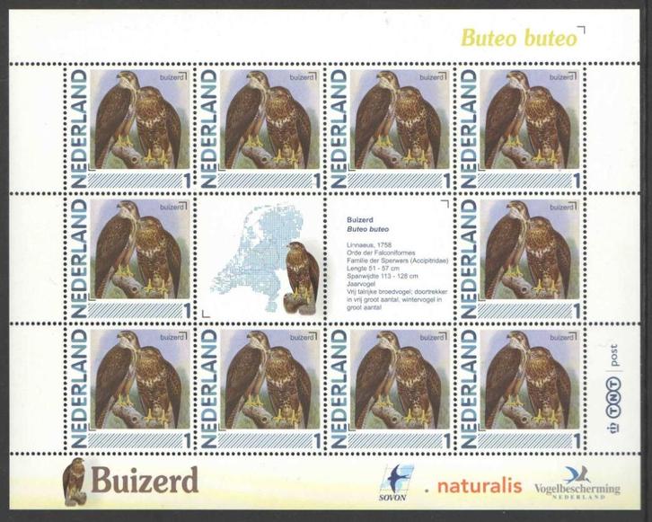 Postzegels Vogels in Nederland: Buizerd, Postzegels en Munten, Postzegels | Nederlandse Antillen en Aruba, Postfris, Ophalen of Verzenden