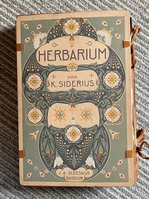 Art Nouveau herbarium 1910-1920 geheel gevuld planten bloem, Antiek en Kunst, Antiek | Boeken en Bijbels, Ophalen of Verzenden