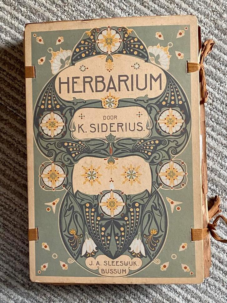 Art Nouveau herbarium 1910-1920 geheel gevuld planten bloem, Antiek en Kunst, Antiek | Boeken en Bijbels, Ophalen of Verzenden