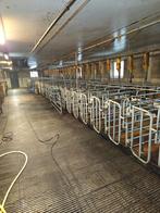 Stalinrichting varkenshouderij en 2 mestsilos, Ophalen, Veehouderij, Stalinrichting