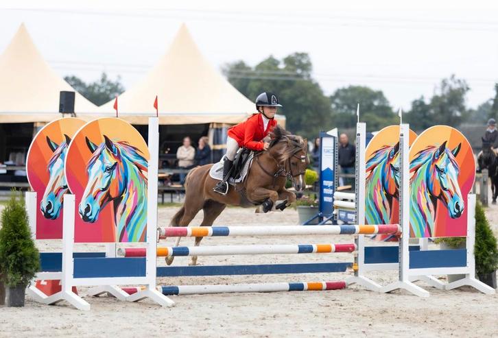 Lieve springpony, Dieren en Toebehoren, Pony's, Ruin, B pony (1.17m tot 1.27m), 7 tot 10 jaar