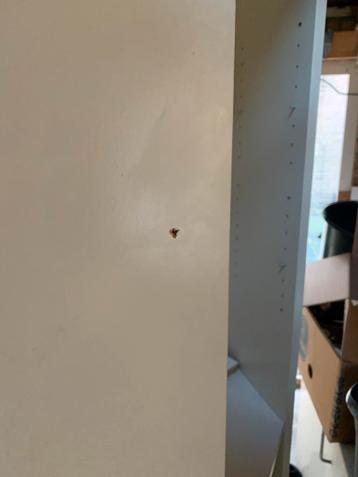 Hoekkast Ikea Billy gratis - afbeelding 3