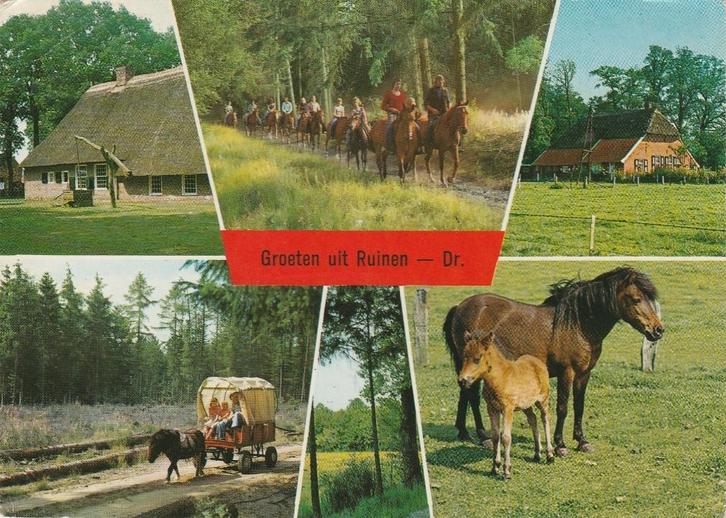 RUINEN Boerderij Huifkar Ruiters Paarden Groeten, Verzamelen, Ansichtkaarten | Nederland, Gelopen, Drenthe, 1960 tot 1980, Verzenden