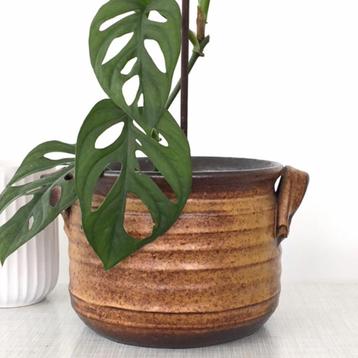 vintage BLOEMPOT keramiek pot bruin seventies wabi sabi beschikbaar voor biedingen