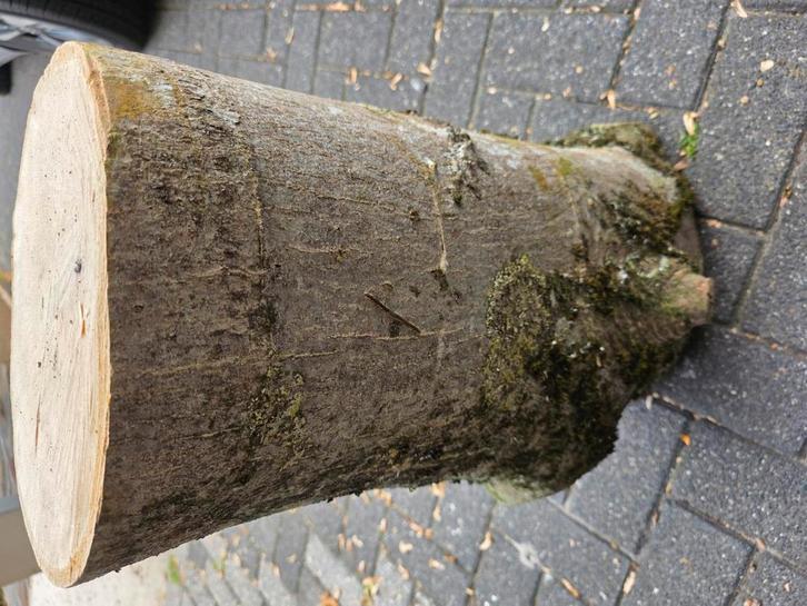 hakblok spijkerblok kloofblok aambeeldblok walnotenhout, Tuin en Terras, Haardhout, Minder dan 3 m³, Ophalen of Verzenden