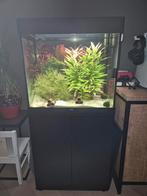 Juwel Lido 120L Zwart, Dieren en Toebehoren, Vissen | Aquaria en Toebehoren, Ophalen, Zo goed als nieuw, Gevuld zoetwateraquarium