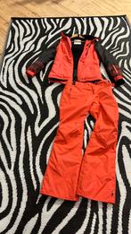Brunotti skipak mt m/s, Kleding | Dames, Wintersportkleding, Brunotti, Ophalen of Verzenden, Maat 38/40 (M), Pak