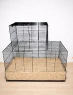 Groot ratten/hamster hok met glazen bodem ophalen Andel NB, Dieren en Toebehoren, Knaagdieren en Konijnen | Hokken en Kooien, Ophalen