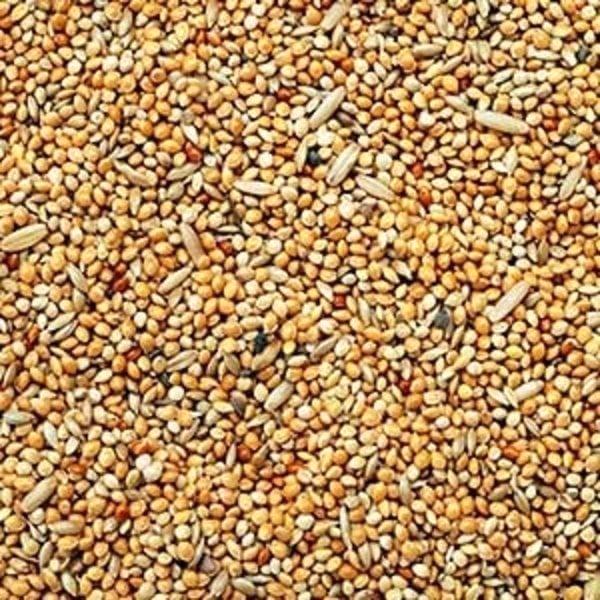 't Dijkje Parkietenvoer 20kg, Dieren en Toebehoren, Vogels | Toebehoren, Nieuw, Ophalen of Verzenden