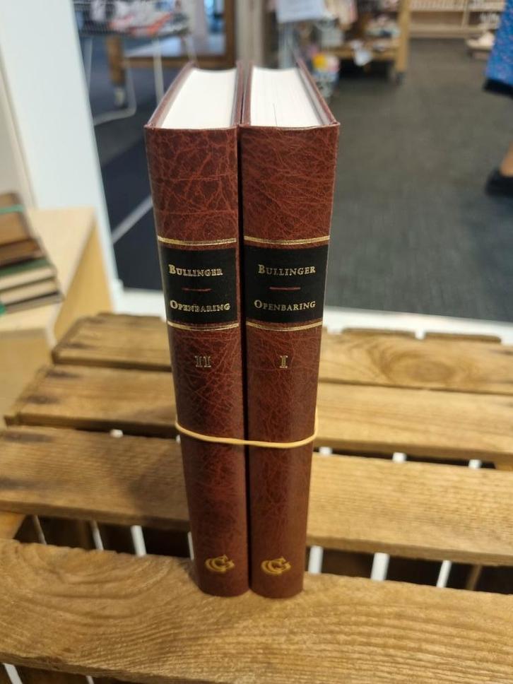 Heinrich Bullinger. Openbaring. 2 delen., Boeken, Godsdienst en Theologie, Gelezen, Christendom | Protestants, Ophalen of Verzenden