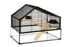 Hamsterkooi zwart met glas, Dieren en Toebehoren, Knaagdieren en Konijnen | Hokken en Kooien, Kooi, Gebruikt, Minder dan 75 cm