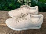 Nieuwe sneakers van Gabor maat 41 (wijdte H), Beige, Gabor, Nieuw, Ophalen of Verzenden