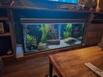 Aqualantis aquarium 150cm, Ophalen, Gebruikt, Leeg aquarium