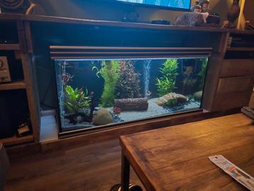 Aqualantis aquarium 150cm beschikbaar voor biedingen