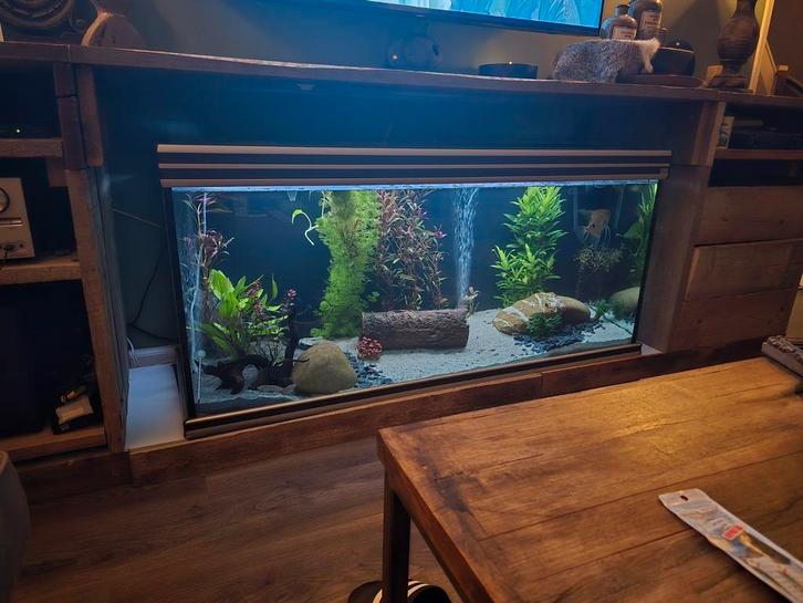 Aqualantis aquarium 150cm, Dieren en Toebehoren, Vissen | Aquaria en Toebehoren, Gebruikt, Leeg aquarium, Ophalen