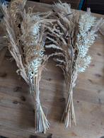 Pampas pluimen decoratie - zo goed als nieuw, Huis en Inrichting, Ophalen of Verzenden