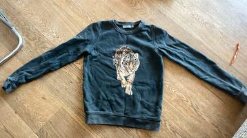 Geisha sweater, maat 152, grijs beschikbaar voor biedingen