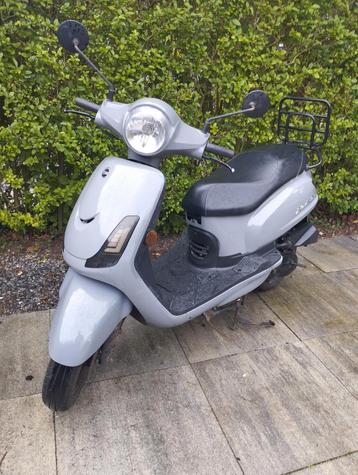 Sym Fiddle 2 - 2019 - Blauw Kenteken snorscooter opknapper beschikbaar voor biedingen
