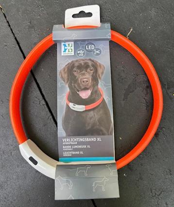 Led Verlichte honden halsband beschikbaar voor biedingen