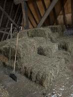 Hooi te koop, Dieren en Toebehoren, Ophalen of Verzenden, Vee