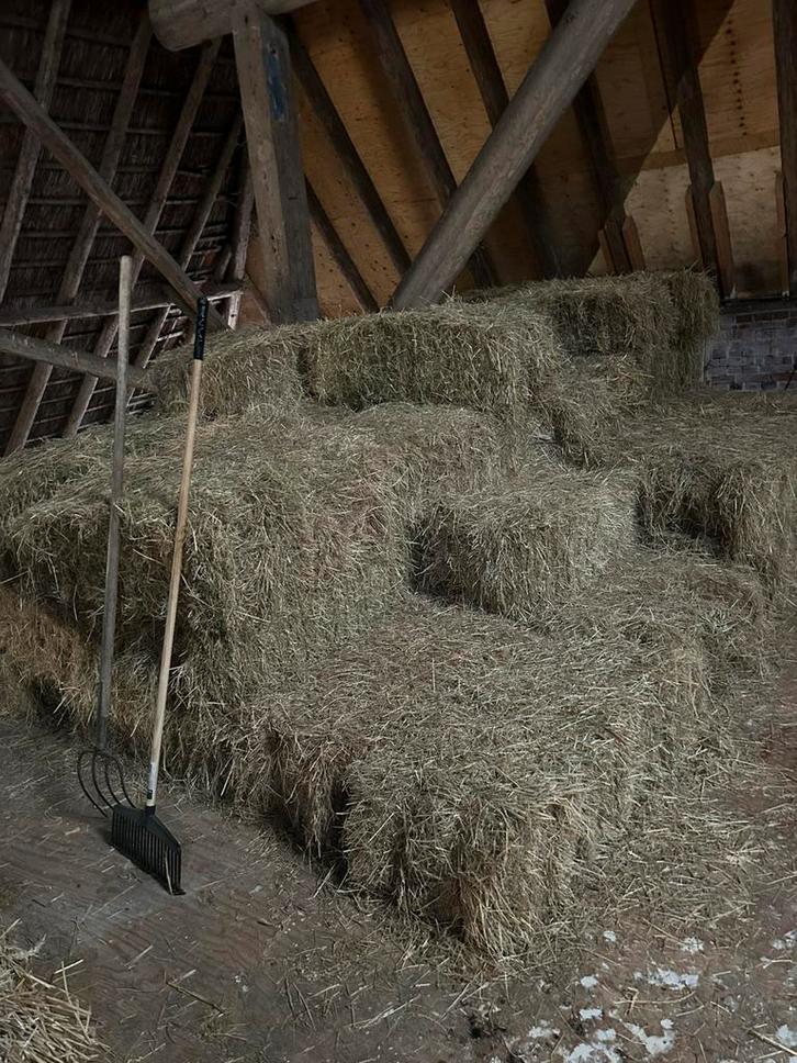 Hooi te koop, Dieren en Toebehoren, Dierenvoeding, Vee, Ophalen of Verzenden