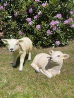 (Tuin)Beeld set Texel schaap lammetje, tuin, boerderij, Tuin en Terras, Ophalen, Nieuw, Kunststof, Dierenbeeld