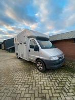 2 paards paardenwagen te koop., Dieren en Toebehoren, Ophalen, Gebruikt, Overige soorten