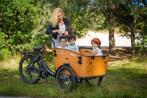 Elektrische bakfiets bakfietsen driewieler cargo bike NIEUW, Fietsen en Brommers, Overige merken, 4 kinderen of meer, Nieuw, Ophalen of Verzenden